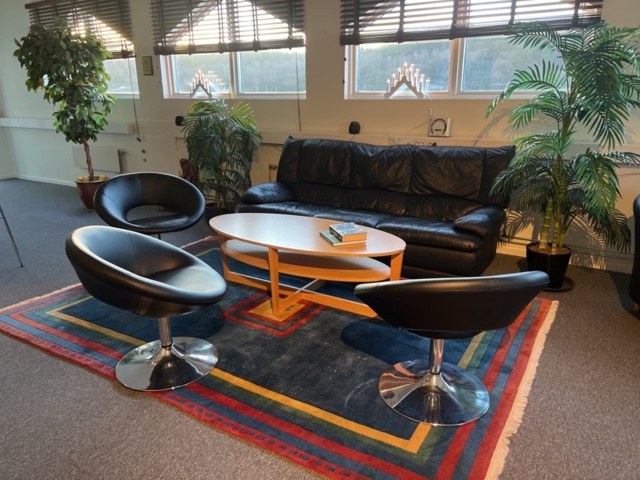 1384612-1 Möbler - Soffa, fåtöljer, soffbord, matta och konstväxter