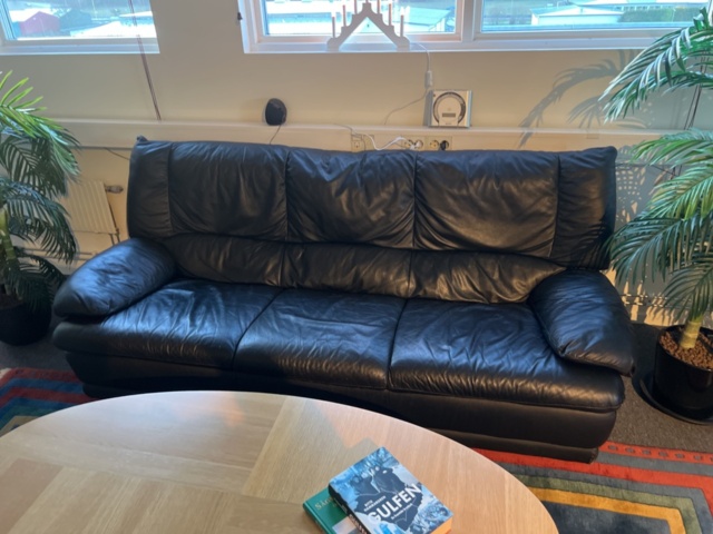 1384612-4 Möbler - Soffa, fåtöljer, soffbord, matta och konstväxter