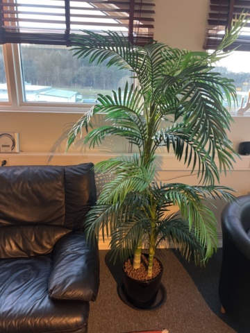 1384612-5 Möbler - Soffa, fåtöljer, soffbord, matta och konstväxter