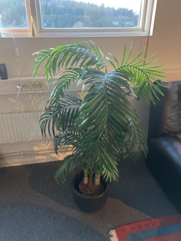 1384612-6 Möbler - Soffa, fåtöljer, soffbord, matta och konstväxter