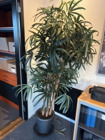 1384612-8 Möbler - Soffa, fåtöljer, soffbord, matta och konstväxter