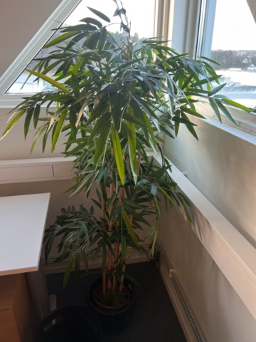 1384612-9 Möbler - Soffa, fåtöljer, soffbord, matta och konstväxter