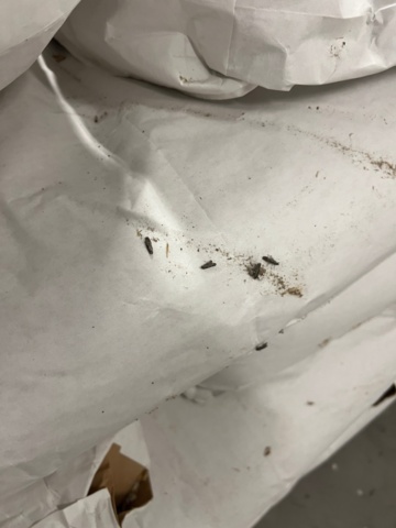 1420411-24 Parti med spannmål, utgånget datum