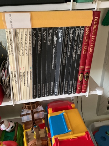 1197361-10 Shelf with children's books, games and crafts