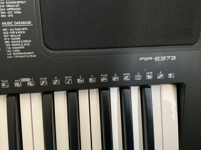 1197371-4 Electric piano PSR E373