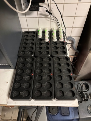 1372775-5 Bordslampor med laddfunktion samt salt- och pepparkar