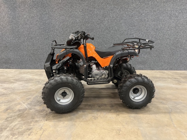 1466540-4 Fyrhjuling - 125cc