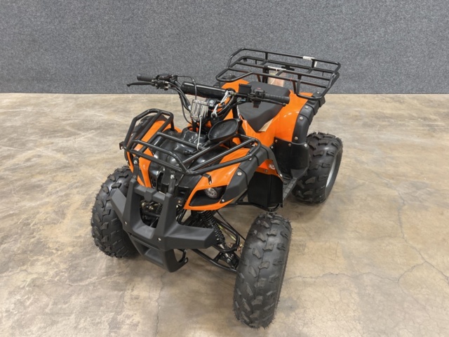 1466540-6 Fyrhjuling - 125cc