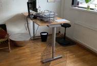 1197459 Hela kontoret