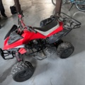 1372838-3 Quad Bike - RC-XS110 - 2013