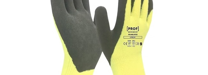 Image representing the auction - Sale - Work gloves