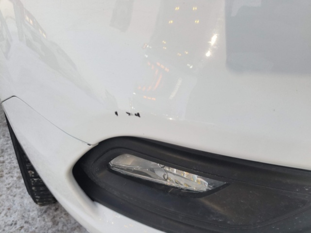 1401188-18 Ford Transit Custom 300 2.0 EcoBlue -2019