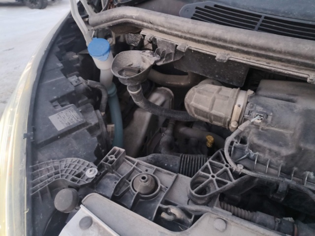 1401188-43 Ford Transit Custom 300 2.0 EcoBlue -2019