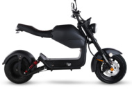 1466572 Fatscooter 2000W | Maxhastighet 45 km/tim | Urban Rider
