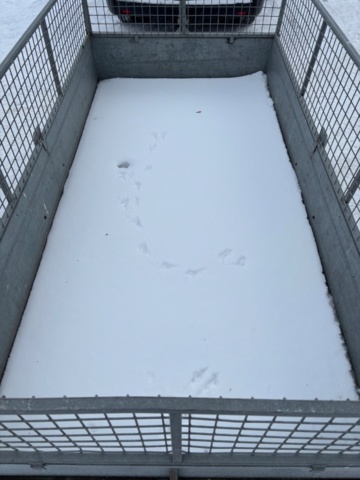 918930-10 Trailer - Rekotrailer FE 4115