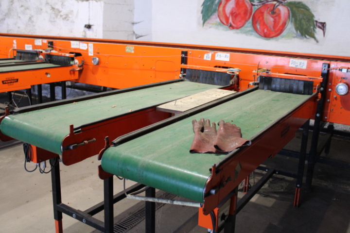 1470716-18 Sorteringsmaskin för frukt Van Wamel 2004