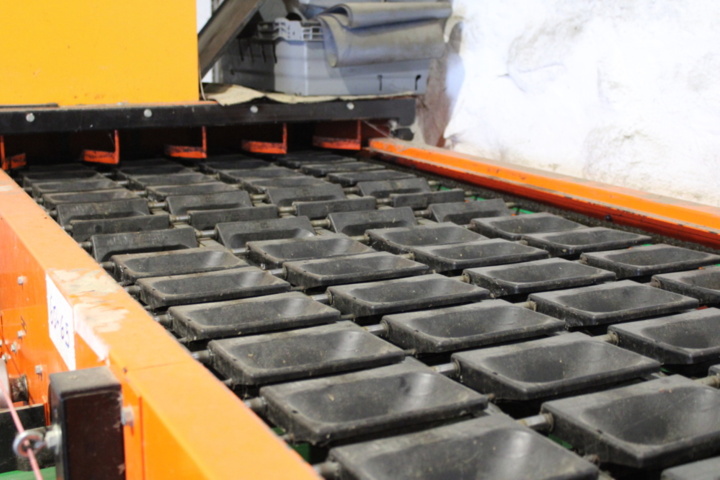 1470716-22 Sorteringsmaskin för frukt Van Wamel 2004