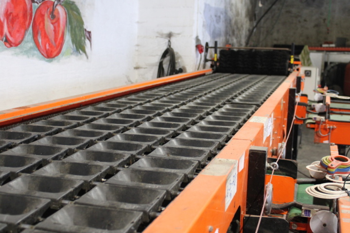 1470716-23 Sorteringsmaskin för frukt Van Wamel 2004