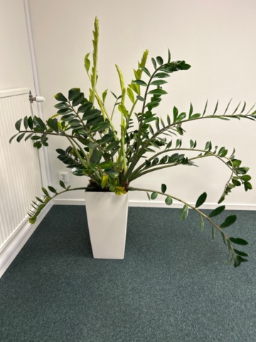 1368235-15 Conference furniture - Kinnarps