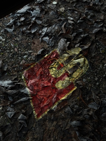 918936-25 Audi Q8 50 TDI quattro TipTronic, Competition plus 286hk, 2023 (53894km)