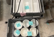 1421714 Porslinsskålar i olika utföranden