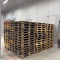 1368271-2 Lot of approx. 620 EUR pallets