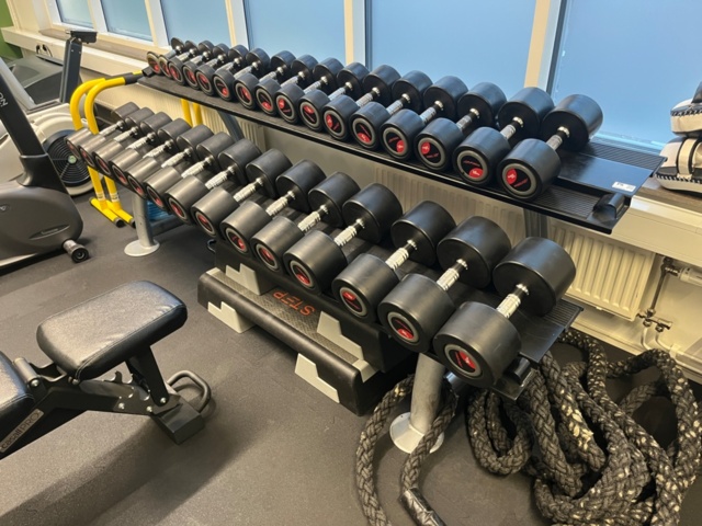 1424014-1 Hantelställ med hantlar  2-30kg - Life Fitness