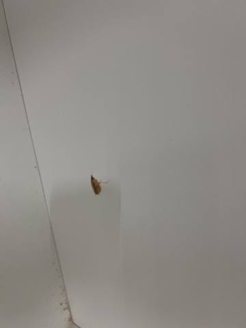 1476629-9 2 wardrobes / tall cabinets