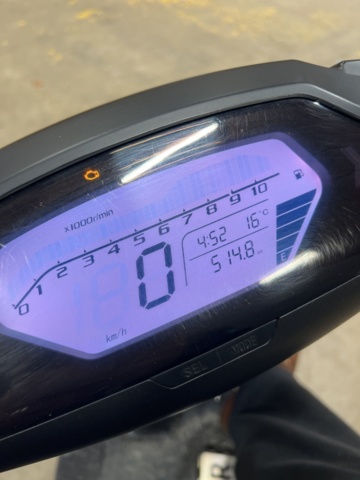 1351394-17 Moped - Invicta Semper -2024