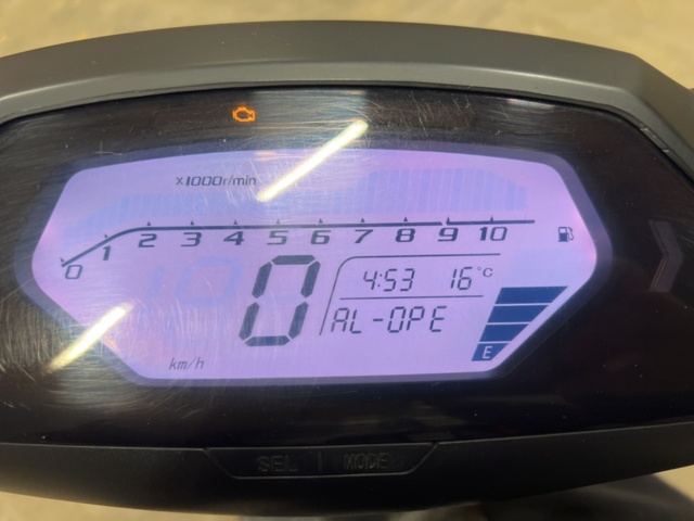 1351394-19 Moped - Invicta Semper -2024