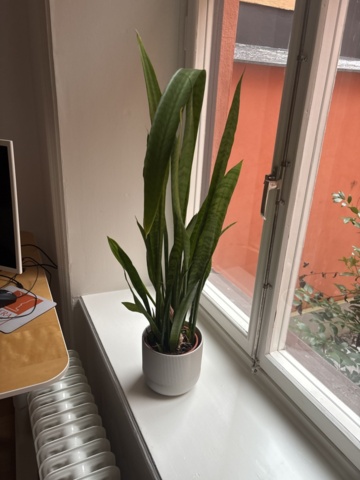 1443783-27 Kontorsinredning och elektronik -Skrivbord, kontorsstolar, datorskärmar, m.m