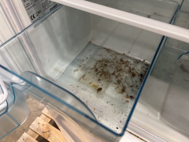 1477085-8 Fridge & freezer Electrolux ERB22011W