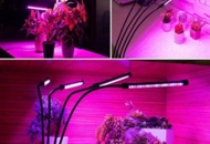 1477323 Grow light/Grow light 4 branches LED - Free shipping