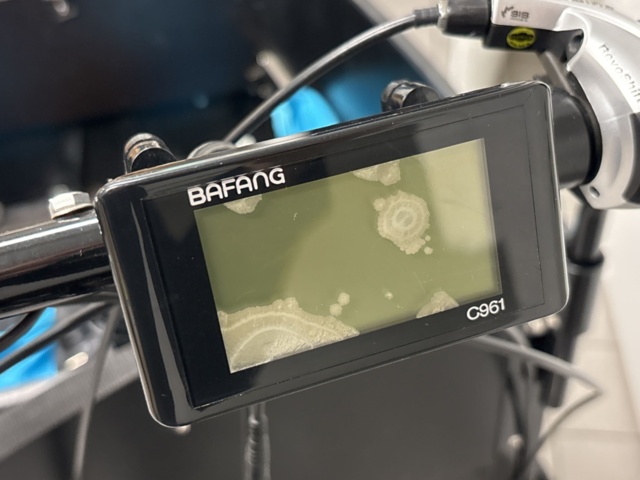 1409514-13 Electric transport bike - Cargobike