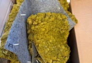 1405437 Decorative moss wall - stabilized moss 60×90 cm