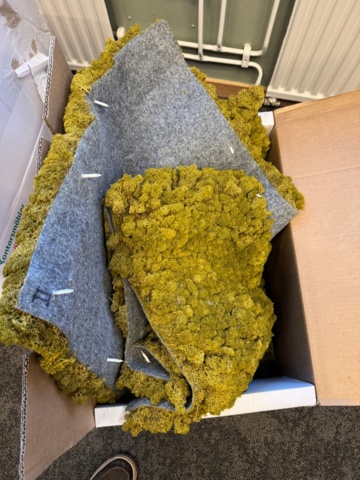 1405437-1 Decorative moss wall - stabilized moss 60×90 cm