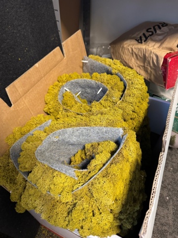 1405437-5 Decorative moss wall - stabilized moss 60×90 cm