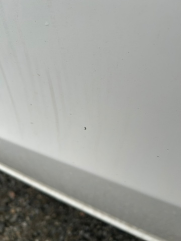 1344081-17 Mercedes-Benz Marco Polo 220d 3.1t 9G-Tronic, 163hp, 2022