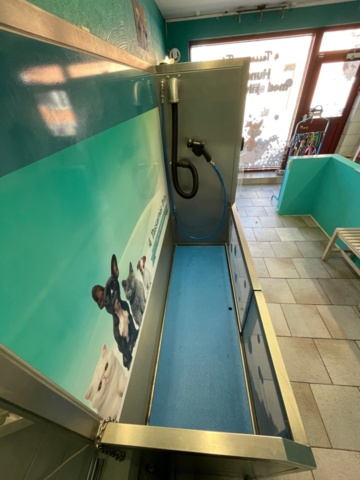 1481392-3 iClean Dog Wash Classic / Hundtvätt