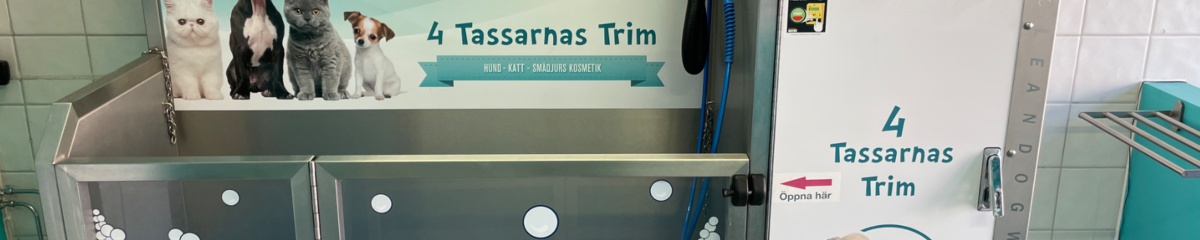 Bild som representerar auktionen - Avyttring hundtvätt