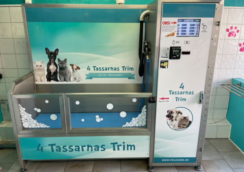 Bild som representerar auktionen - Avyttring hundtvätt