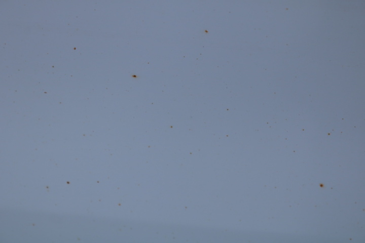 1416785-18 Nissan Navara Double Cab 2.3 dCi 4WD Automatic, 190hp, 2017