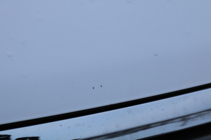 1416785-35 Nissan Navara Double Cab 2.3 dCi 4WD Automatic, 190hp, 2017