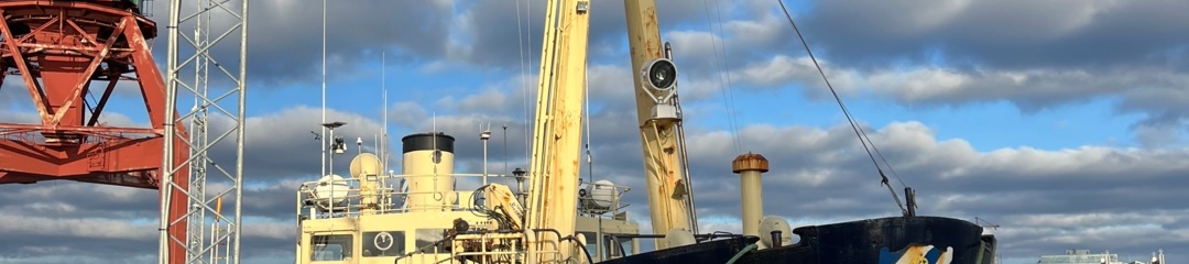 Bild som representerar auktionen - Passagerar- och charterfartyg - M/S Origo -1955