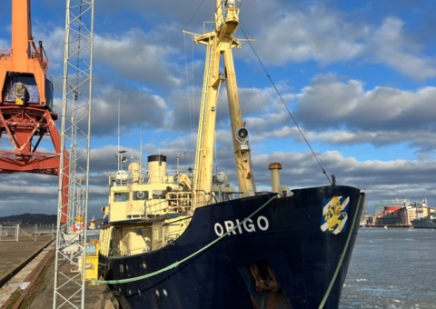 Image representing the auction - Passenger and charter ship - M/S Origo -1955