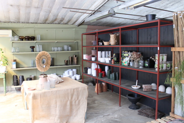 1476189-1 Pots and grass seed on four shelves