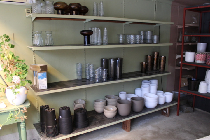 1476189-2 Pots and grass seed on four shelves