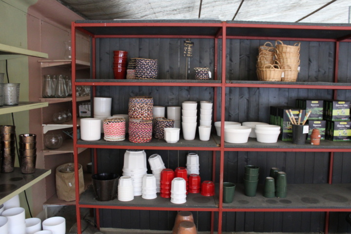 1476189-3 Pots and grass seed on four shelves