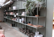 1476191 New pots on seven shelves