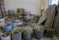 1256100 Homestyling lager 1, möbler, krukor, mattor, tavlor, prydnad, lampor m.m